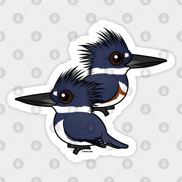 Cute Belted Kingfisher Pair Sticker by birdorable